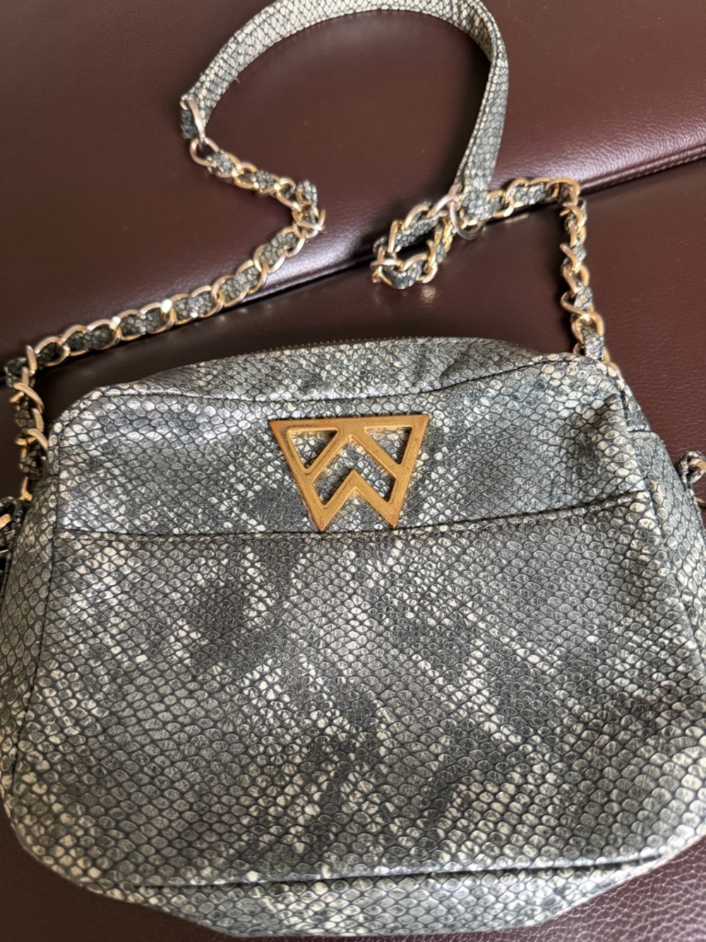 Metallic Snake-Embossed Crossbody Bag in Silver with Gold Hardware